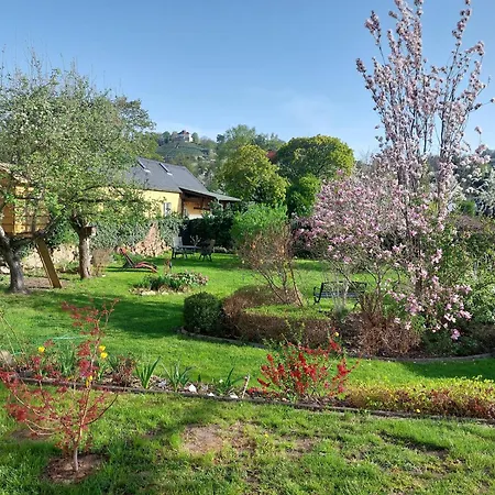 Tini Apartment *