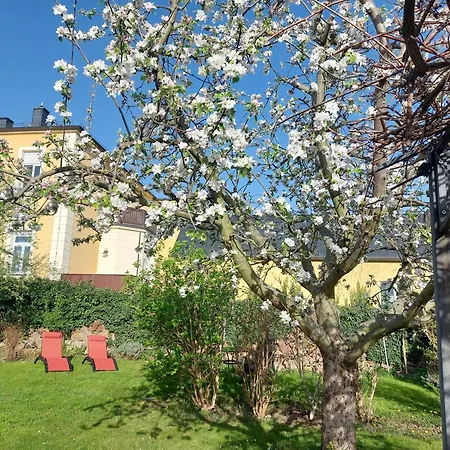 Tini Apartment Radebeul
