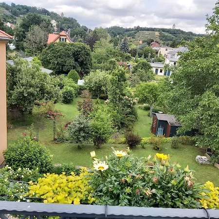 Tini * Радебойль