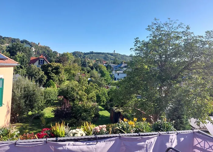 Tini Apartment Radebeul